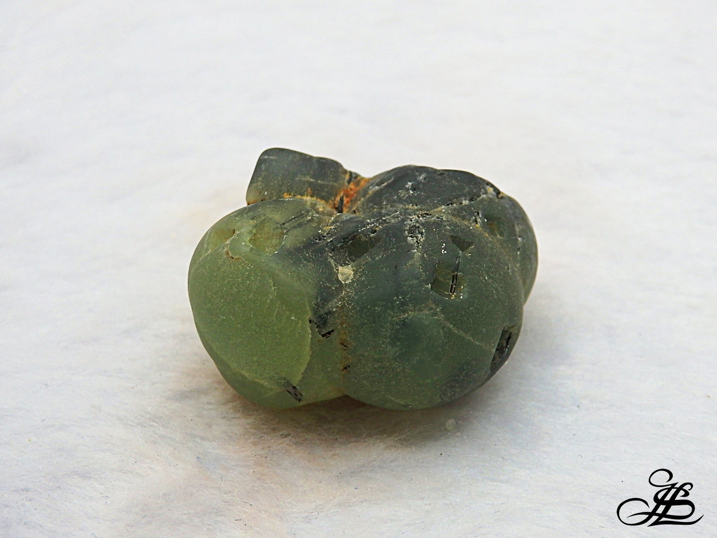 Phrenita