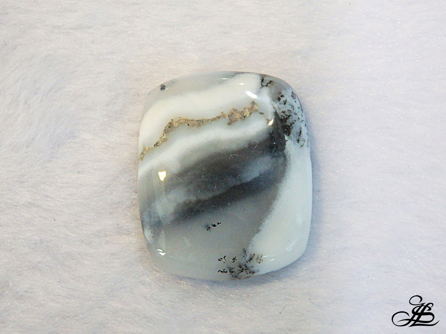 Dendrita