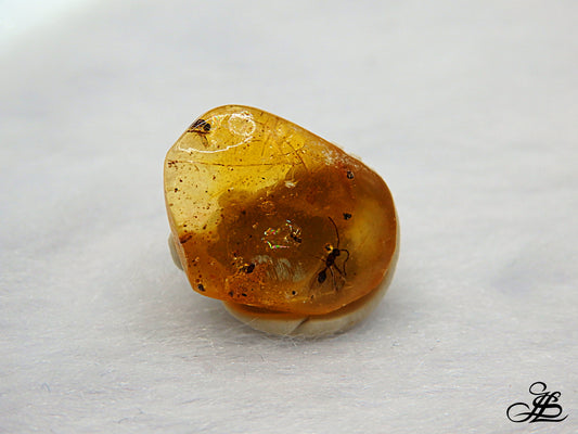 Ámbar