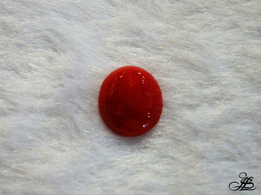 Coral