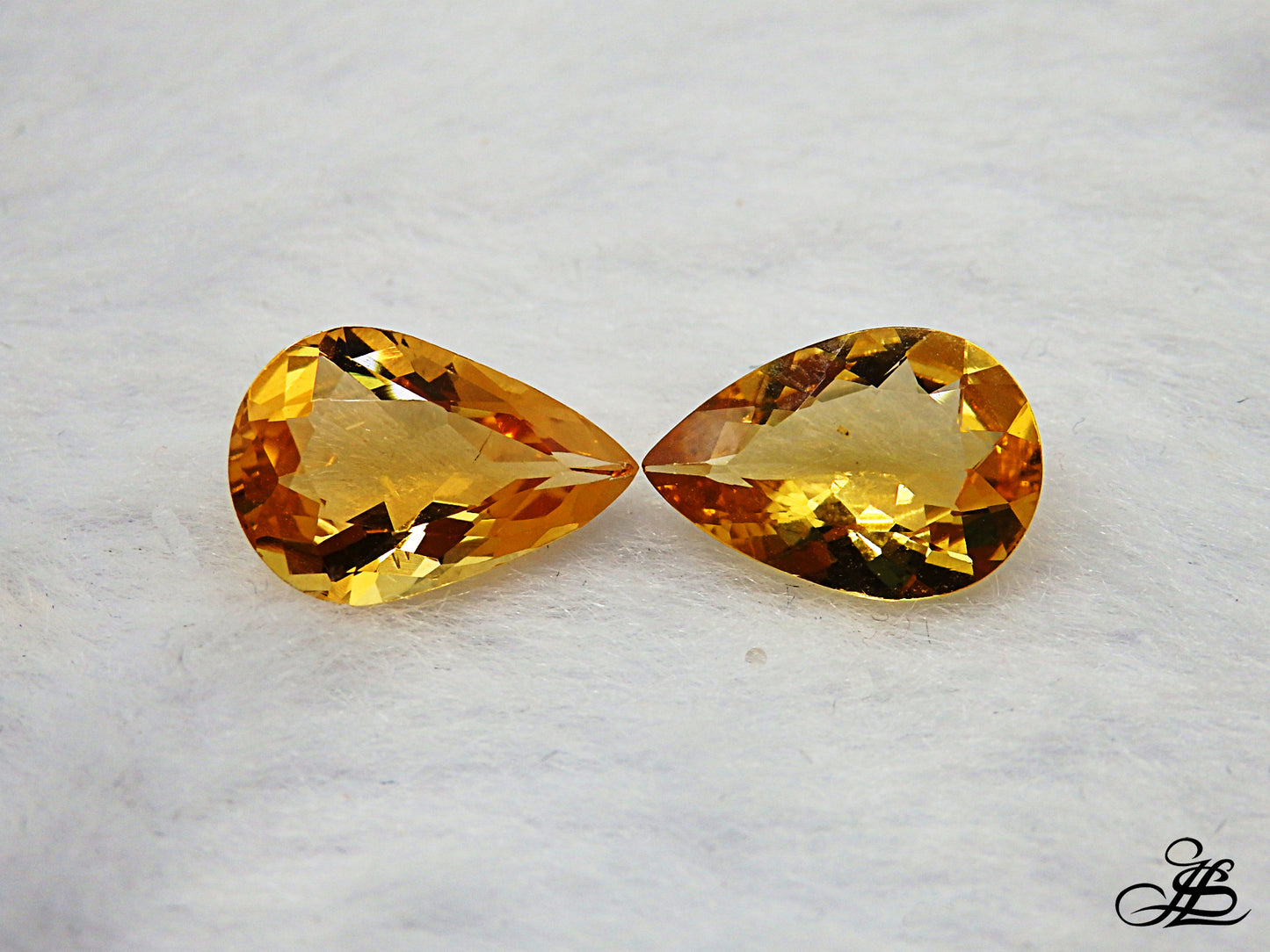 Pareja de heliodoros